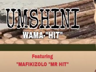 Umshini wama hit – Wang’shiya Ngisak’thanda