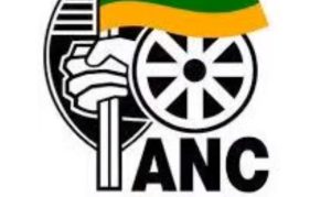 Gamelihle Mbuyane – Asinavalo (ANC Anthem)